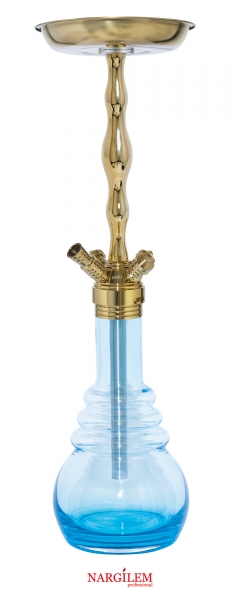 Shiny_Aqua_classic_gold20.jpg