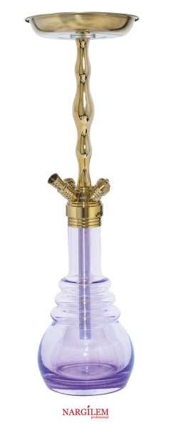 Shiny_Purple_classic_gold55.jpg